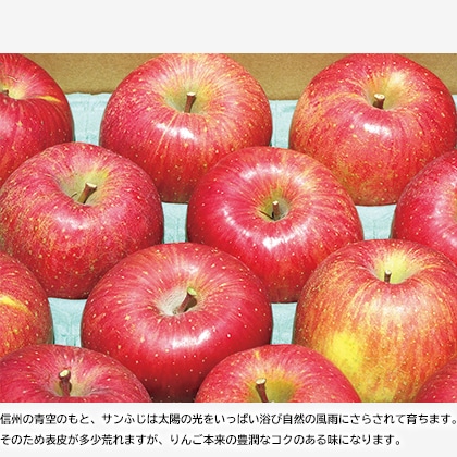 りんご様(郵) 信州りんご サンふじ ご家庭用 10kg｜郵便局のネットショップ