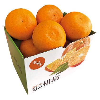 せとか（1．4kg）｜郵便局のネットショップ