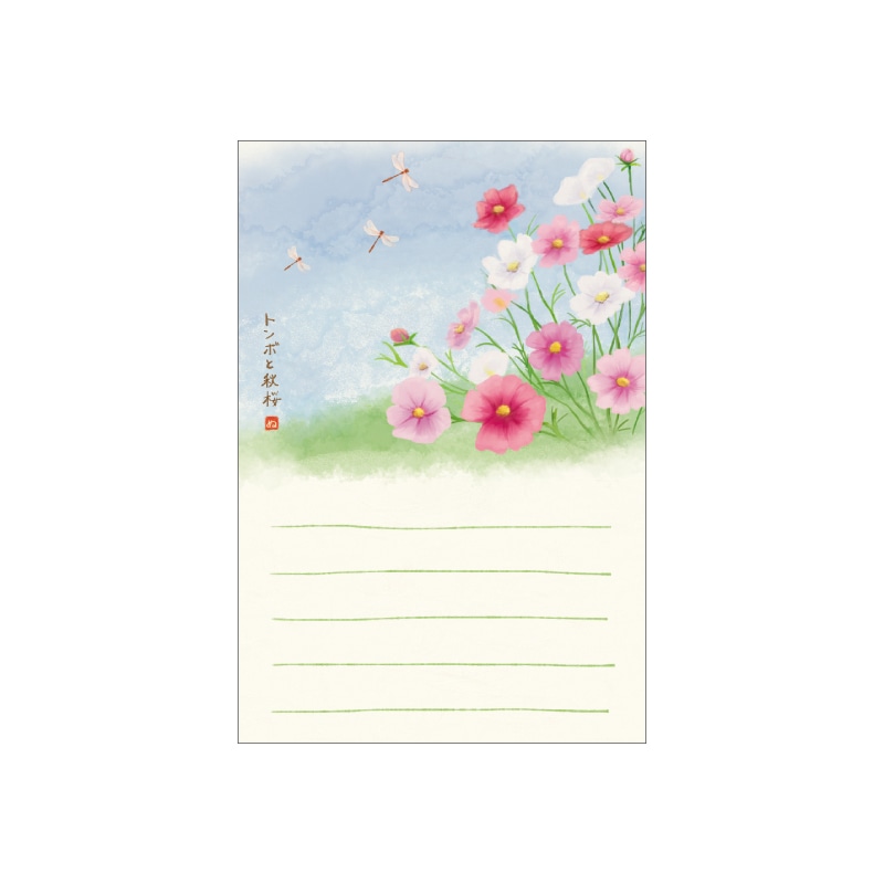 絵入りはがき2025秋柄 トンボと秋桜 4枚セット｜郵便局の