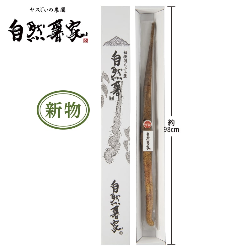 自然薯　天然　yoshi 富士山麓産 自然薯（1本もの）500g（新物）｜郵便局のネットショップ