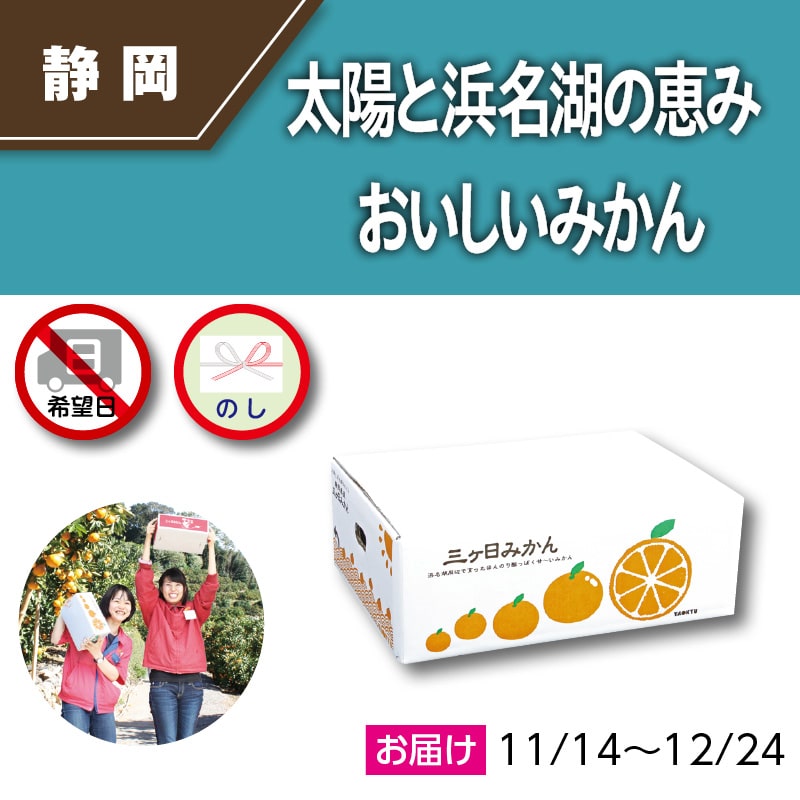 三ヶ日みかん 2．1kg｜郵便局のネットショップ