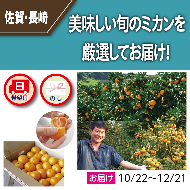 小さいミカン 「ひとしずく」（温州みかん） 4．5kg｜郵便局の