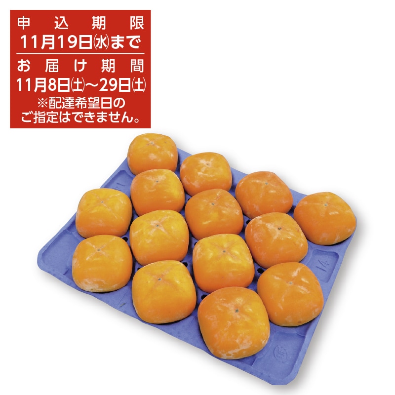 【期間限定 2点セット¥56000→¥53000】柿　書道　文鎮 早期割引10％（10/31まで）】【数量限定】柿の葉寿司 ゐざさの