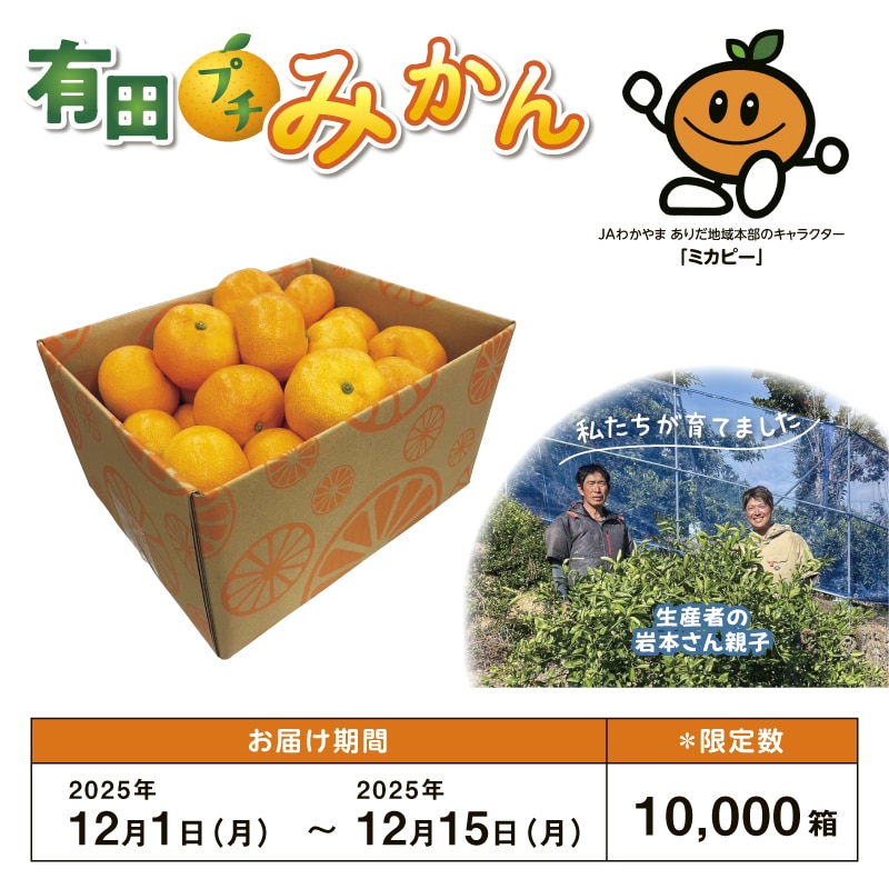 有田プチみかん｜郵便局のネットショップ