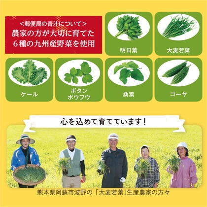 九州産野菜青汁
