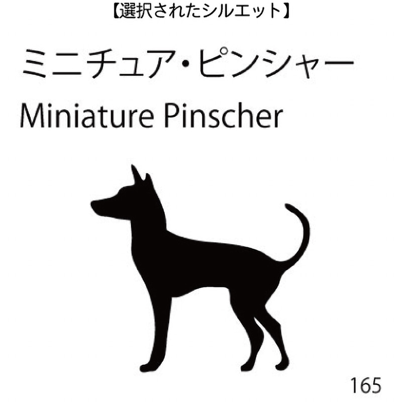 ドアオープナー ミニチュア・ピンシャー(165)
