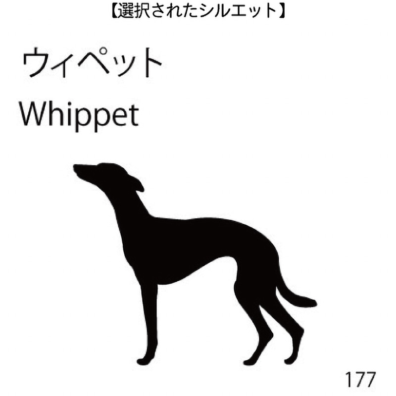 ドアオープナー ウィペット(177)