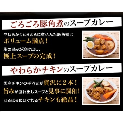 札幌極みスープカレー 2食 豚角煮1食 チキン１食 ib-009
