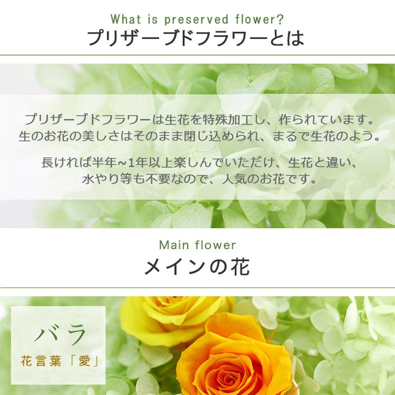 ＜※敬老の日対象商品＞FLABEL　プリザーブドフラワー　写真立て　暖花(はるか)　白グリーン
