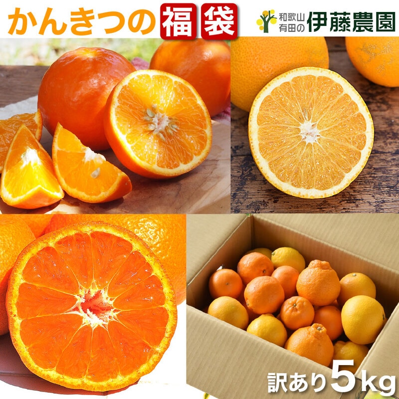 訳あり春かんきつお楽しみ箱5kg<送料込>｜郵便局のネットショップ