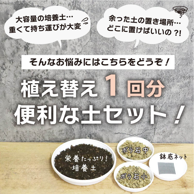 観葉植物用 6号鉢 植え替え土セット｜郵便局のネットショップ