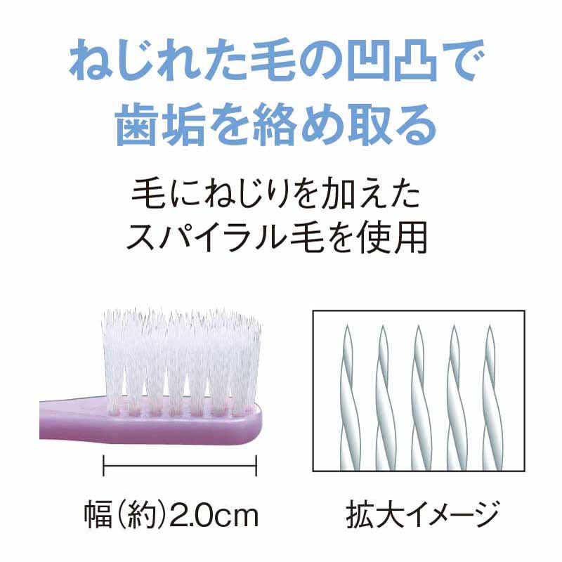 歯ブラシ mina 歯ブラシスタンド mana. 珪藻土 S シングル 1人用 歯ブラシ