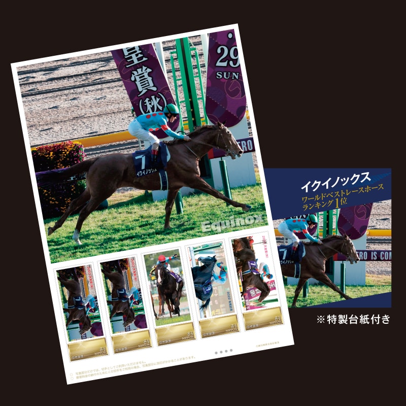 競馬 イクイノックス限定キャップ 天皇賞優勝記念 限定品 激安買取