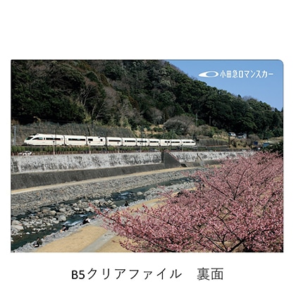 小田急ロマンスカーVSE定期運行終了記念　神奈川県版