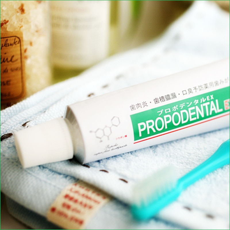 日本自然療法　薬用 プロポデンタルEX 高濃度プロポリス配合歯磨き粉 1本（80g)