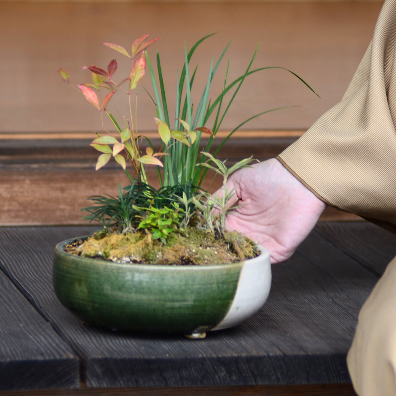 盆栽用鉢 Syunbun | 無為（MUI）｜郵便局のネットショップ