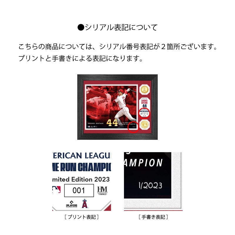 エンゼルス 大谷翔平選手  HR王獲得記念ダブルコインフォト