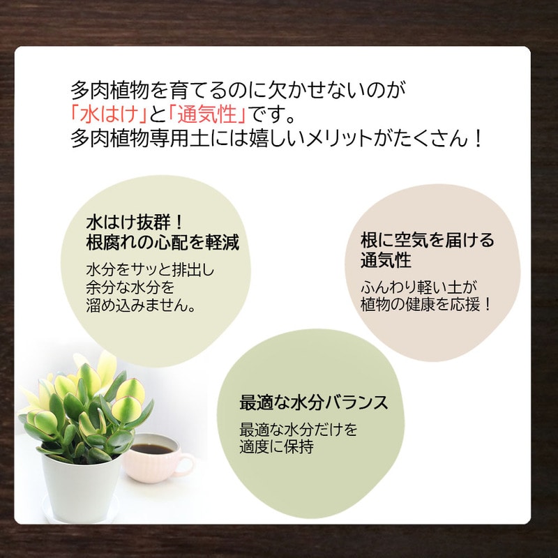 多肉植物用 4号鉢 植え替え土セット｜郵便局のネットショップ