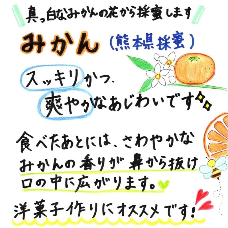 嬉しい2本セット】国産純粋みかん・りんご蜂蜜 500ｇポリチューブ2本