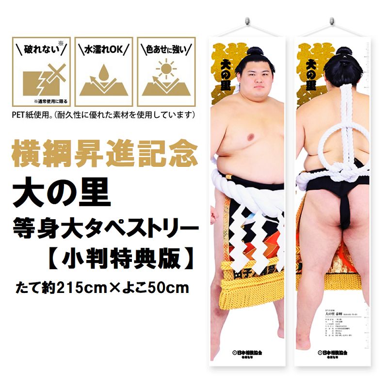 大の里 横綱昇進記念 純金製小判｜郵便局のネットショップ