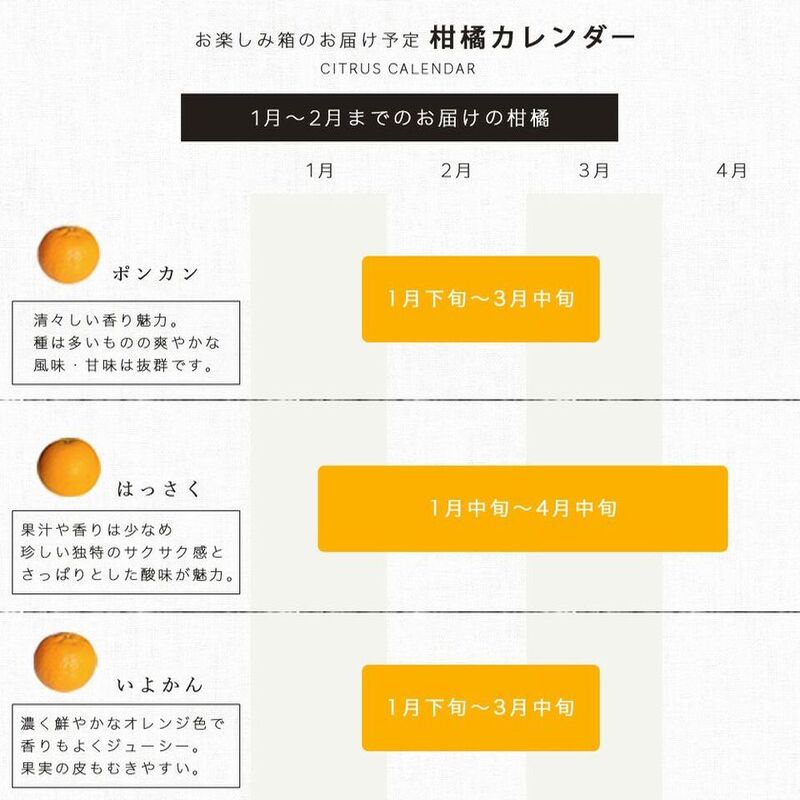 訳あり春かんきつお楽しみ箱10kg<送料込>｜郵便局のネットショップ