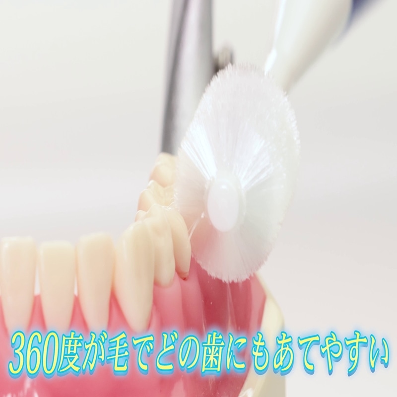 360度毛歯ブラシ 電動モデル【いいものジャパン】