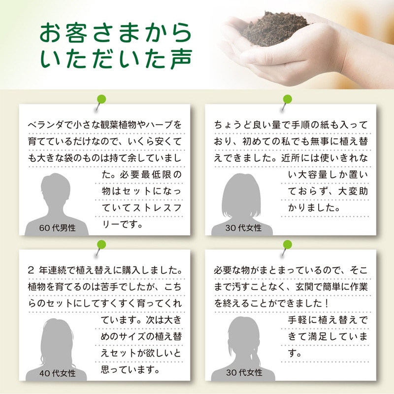 ❤️ みみ❤️さん専用 钵土付き出荷ゆうパック出荷 ❤️ みみ❤️さん専用 钵土付き出荷ゆうパック出荷 観葉植物用 6