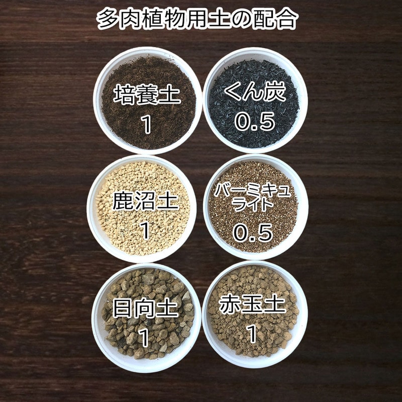 スーパーセール 半額タイムセール 多肉植物用 4号鉢 植え替え土セット｜郵便局のネットショップ その他多肉植物