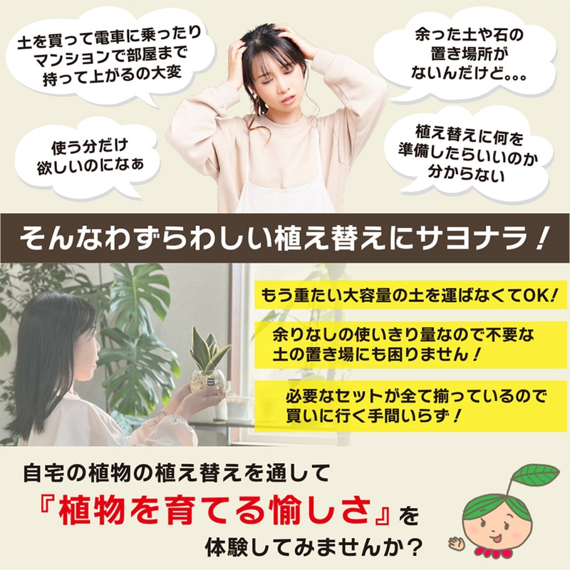 観葉植物用 6号鉢 植え替え土セット｜郵便局のネットショップ