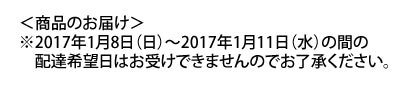 TRART水引ネックレス NT-1GR