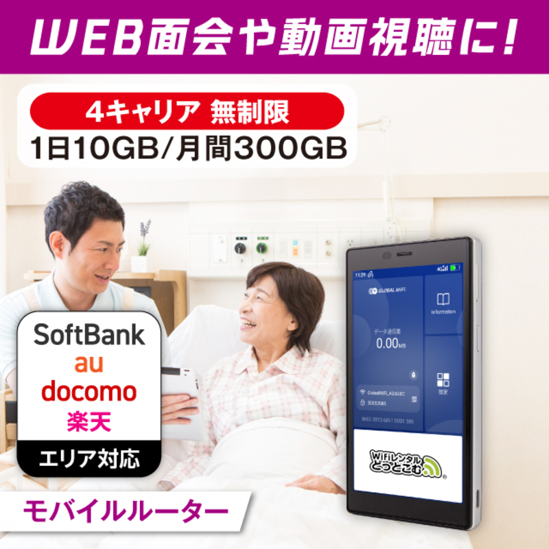 WiFi�����^�� 3�`90���v���� 4�L�����A ������(1��10GB/����300GB) SoftBank docomo au �y�V