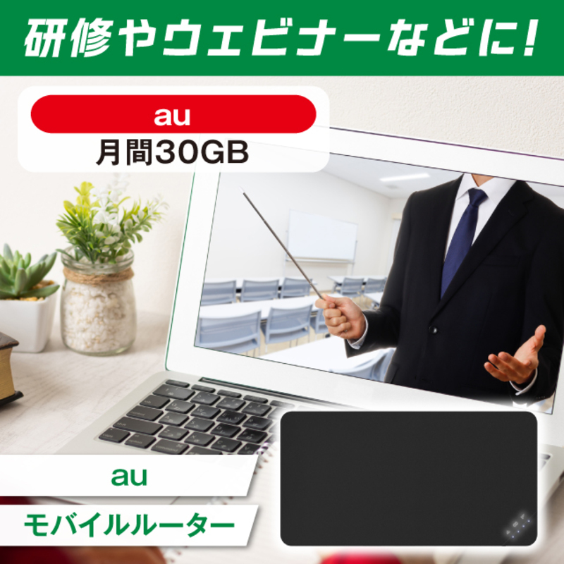 WiFi�����^�� 30�`90���v���� au ����30GB