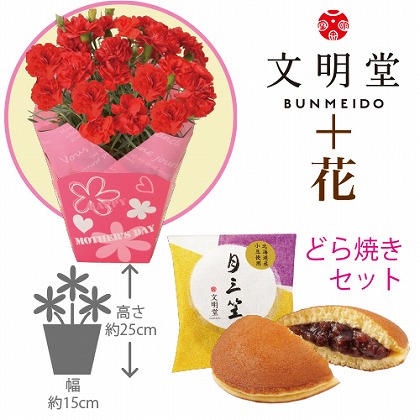 母の日 赤カーネーション４号鉢と文明堂どら焼き 郵便局のネットショップ