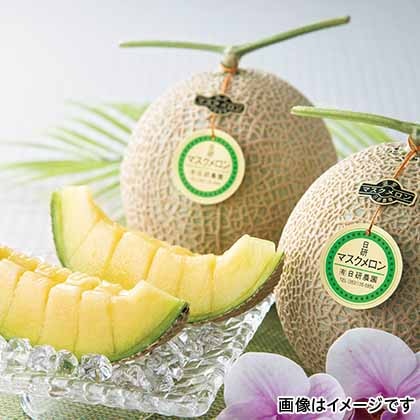 マスクメロン ２個入 郵便局のネットショップ
