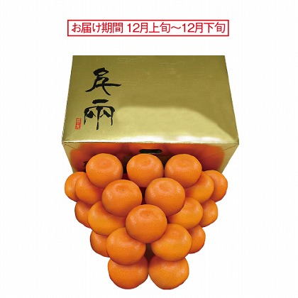 <※お歳暮対象商品>愛媛 日の丸ゴールドみかん