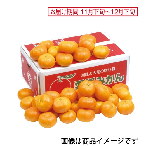 <※お歳暮対象商品>愛媛みかん