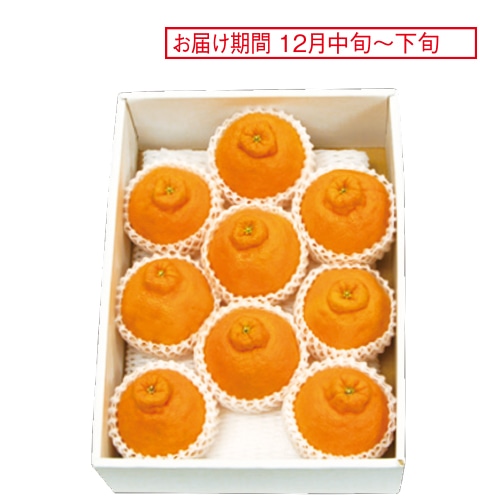 <※お歳暮対象商品>熊本 温室デコポン