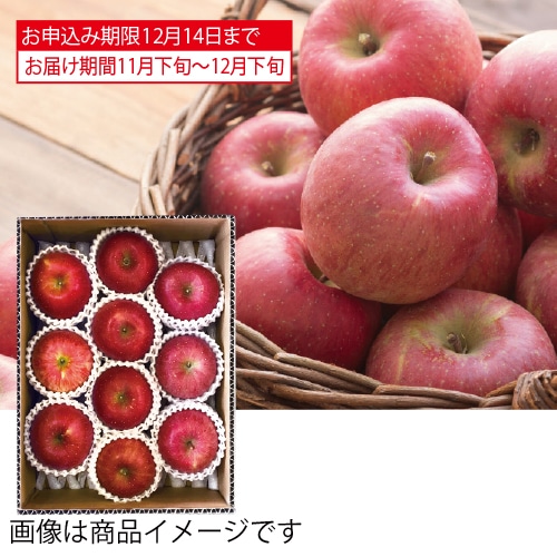 <※お歳暮対象商品>青森県産 サンふじ