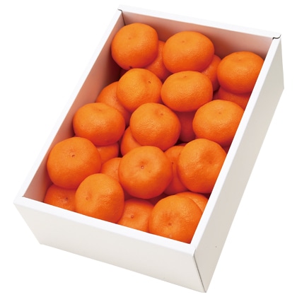 <※お歳暮対象商品>定松セレクトみかん2.5kg