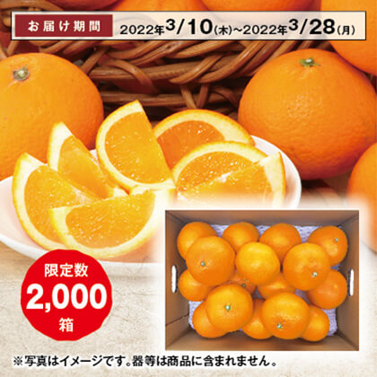 木熟清見オレンジ