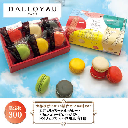 <ダロワイヨ>世界旅行マカロン詰合せ(6個入)