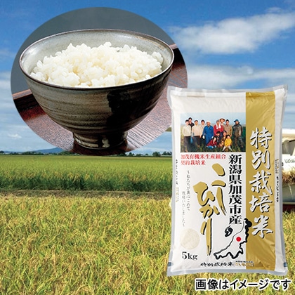 特別栽培米コシヒカリ　白米
