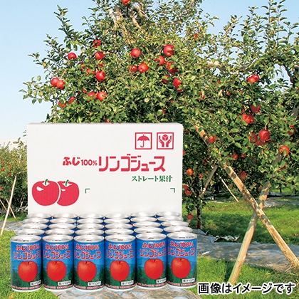 ふじ１００％りんごジュース　１６０ｇ缶