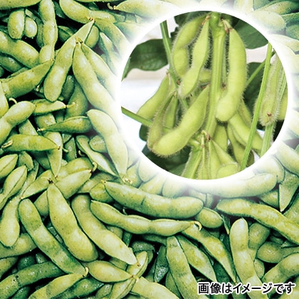 【期間限定】 岐阜産えだまめ 2袋