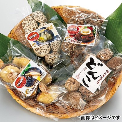 鳥取県産乾椎茸　１１５号