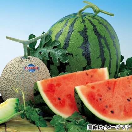 植木スイカとマスクメロン
