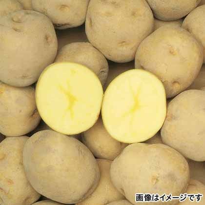 yԌz 肶Ⴊ