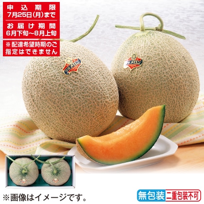 <※お中元対象商品>夕張メロン 優品2個