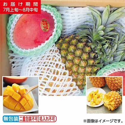 ＜※お中元対象商品＞沖縄県産マンゴーとボゴールパインのセット