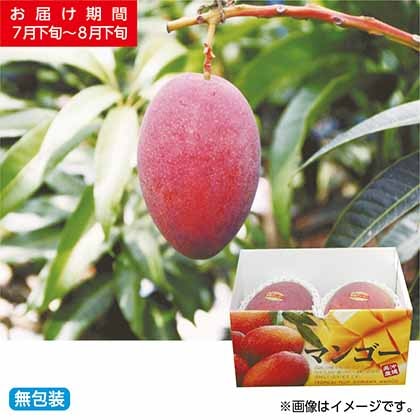 <※お中元対象商品>贈答用マンゴー850g